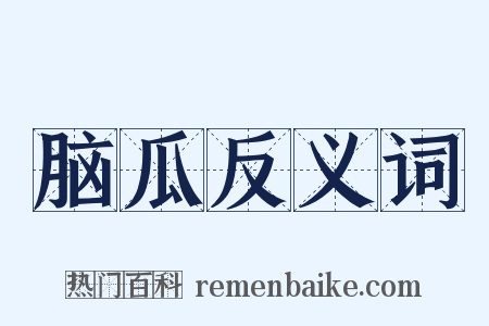 脑瓜反义词是什么意思的图片